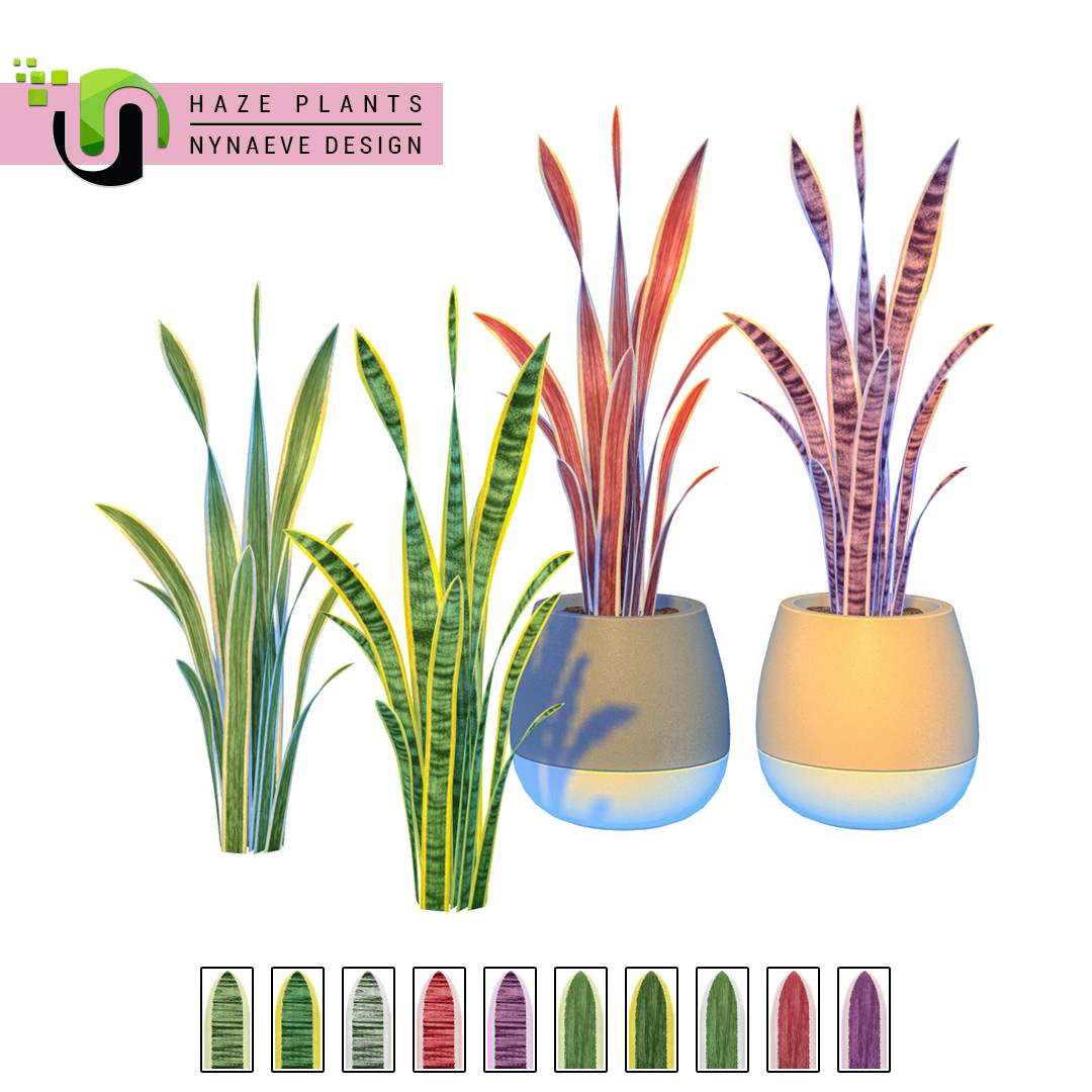 Thumbnail Haze Plants - Preview 03 - Snake Plant.jpg