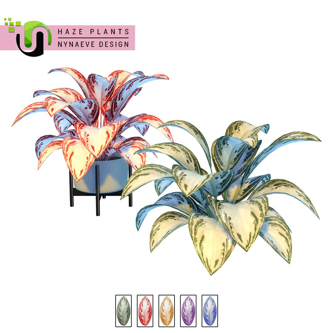 Thumbnail Haze Plants - Preview 04 - Aglaonema Plant.jpg