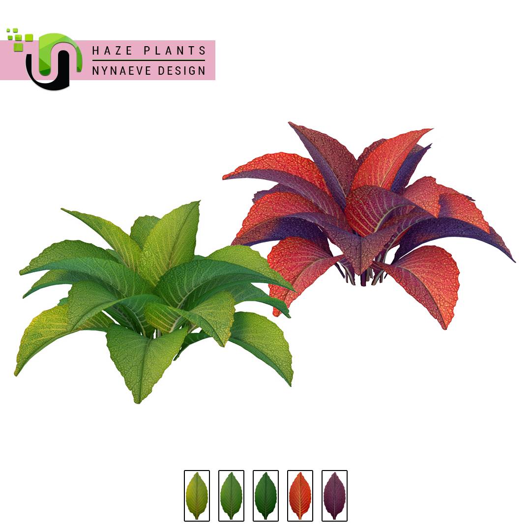 Thumbnail Haze Plants - Preview 05 - Giant Mustard Plant.jpg