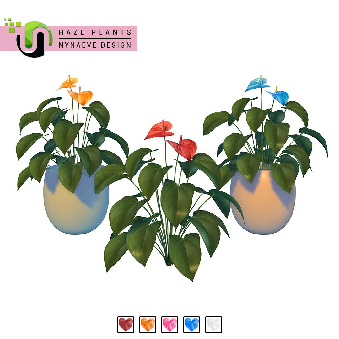 Thumbnail Haze Plants - Preview 06 - Flamingo Flower.jpg