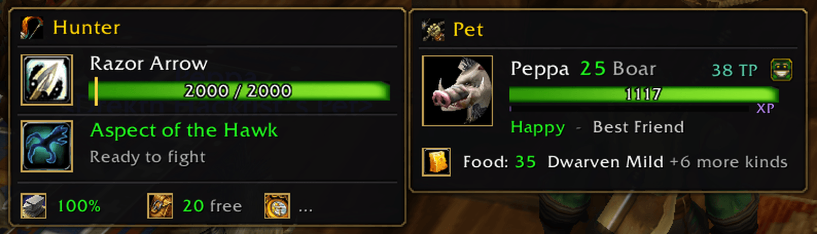 1-pet-and-hunter-windows.png