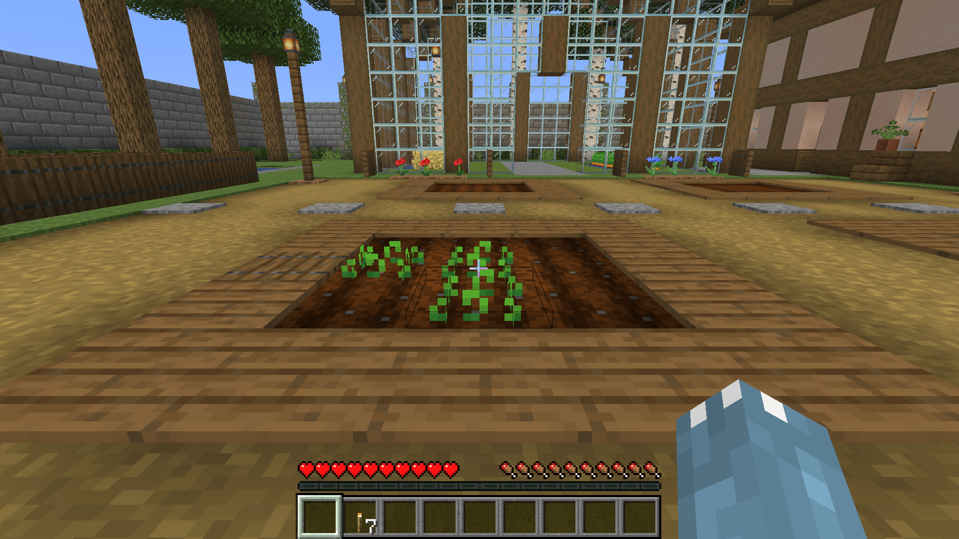 Three seeds planted three beetroot. Seven torches in the next slot stayed intact.