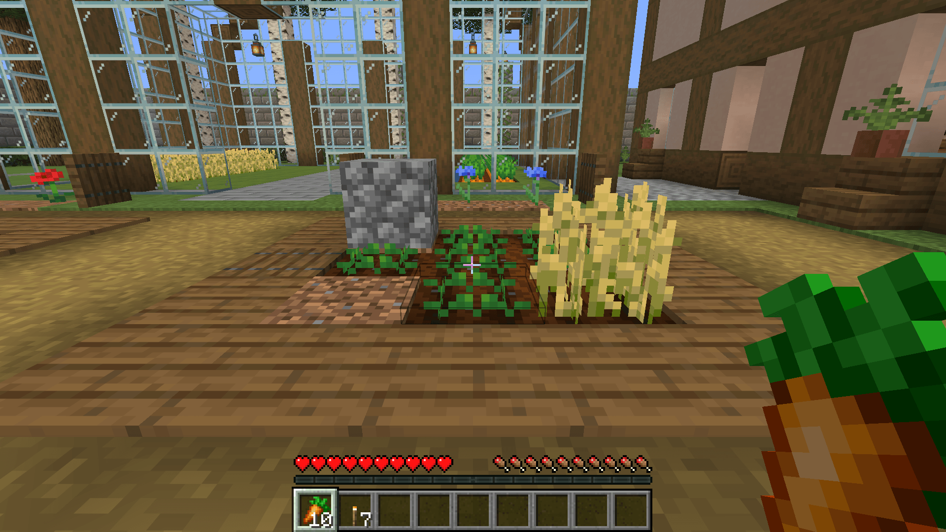 Six carrots planted. Existing wheat, stone and dirt stayed. Held 16 became 10.
