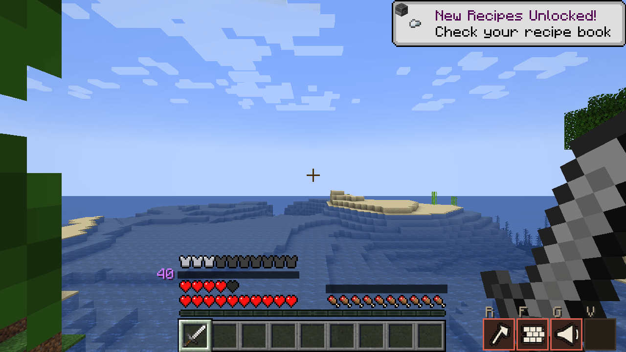 2 Level and skill bar on the HUD.png