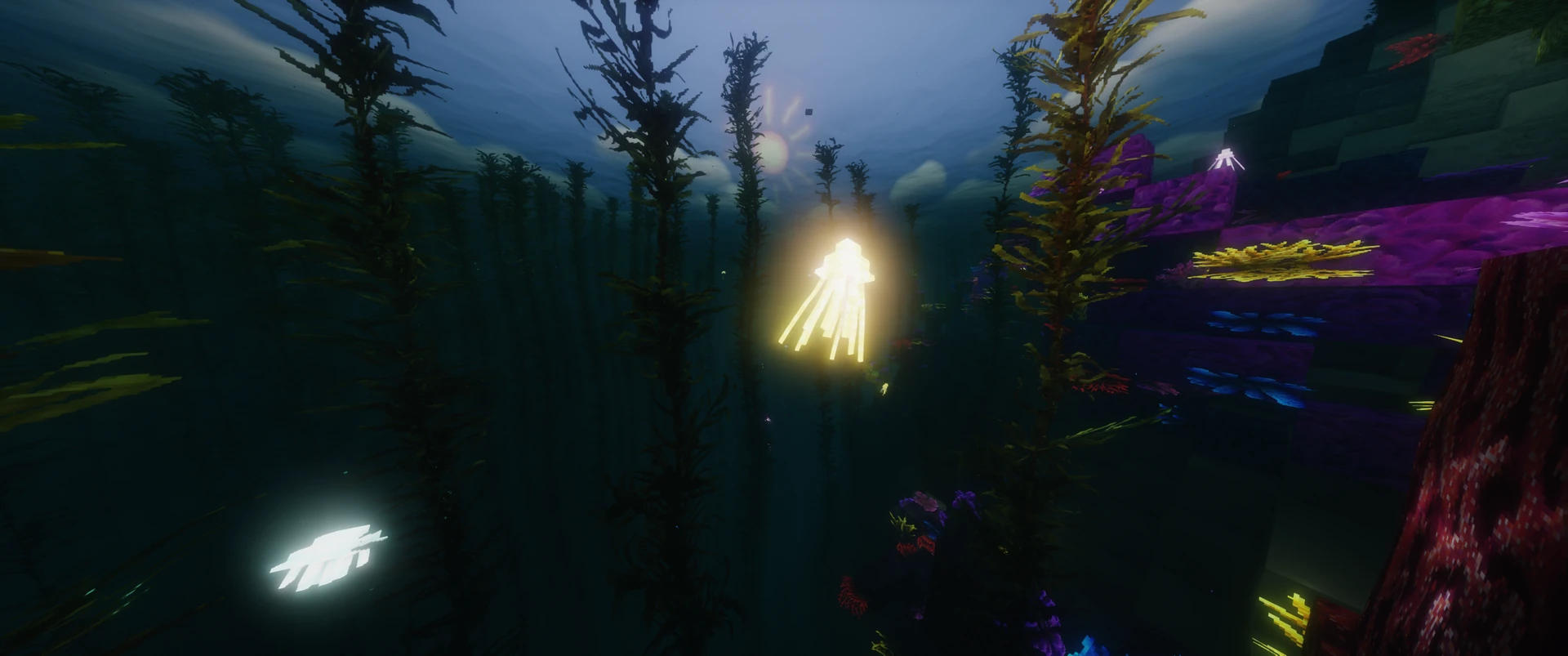 Thumbnail Moon jellies, sea nettles and crown jellies in neon colours. Taken with the Packtrix resource pack and AstraLex shaders.