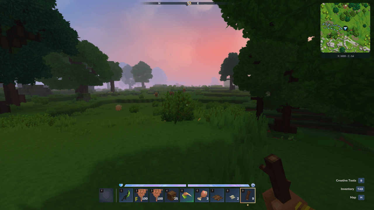 Surface gameplay with the minimap, player arrow and coordinates