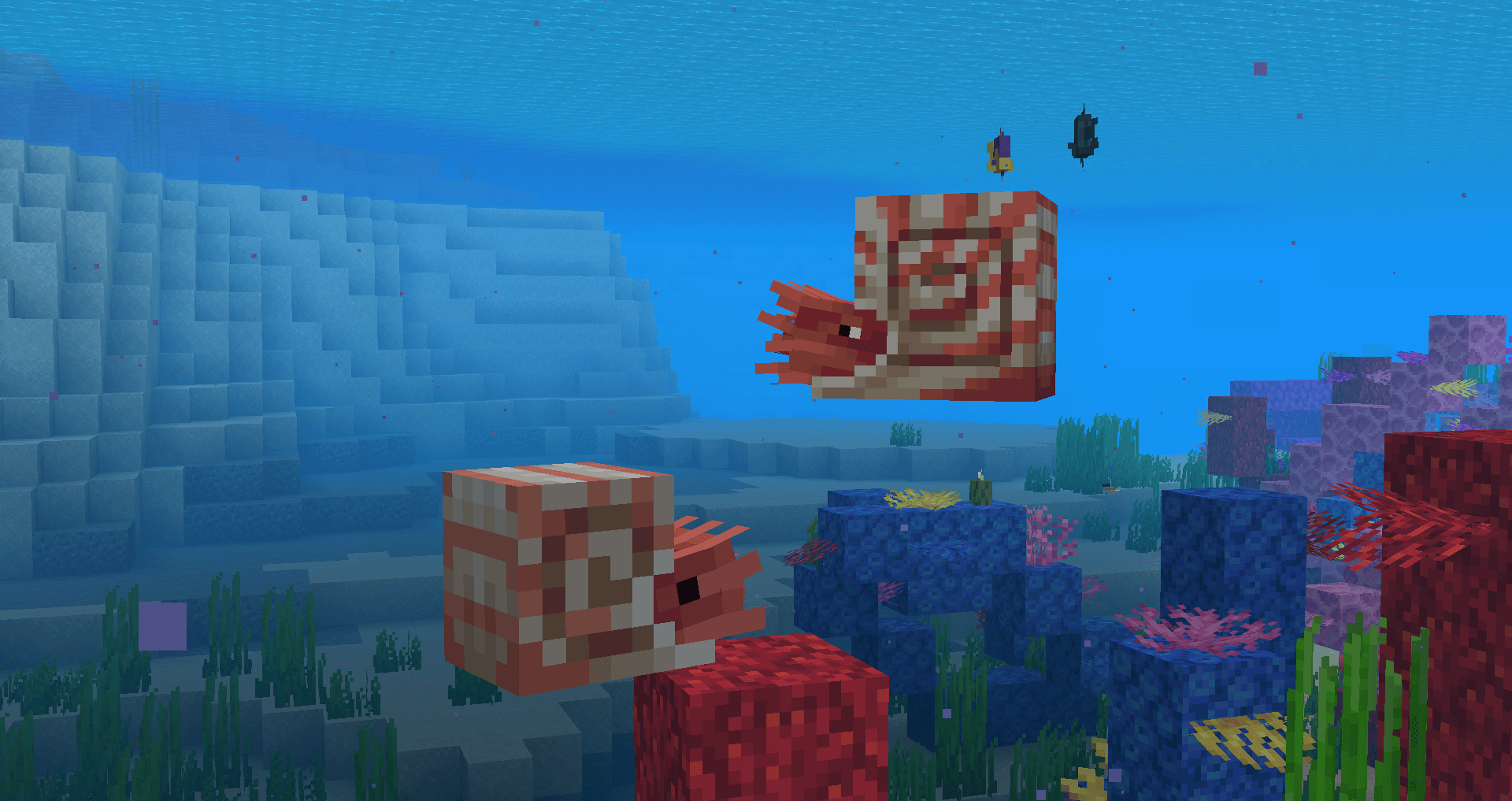 Nautilus.png
