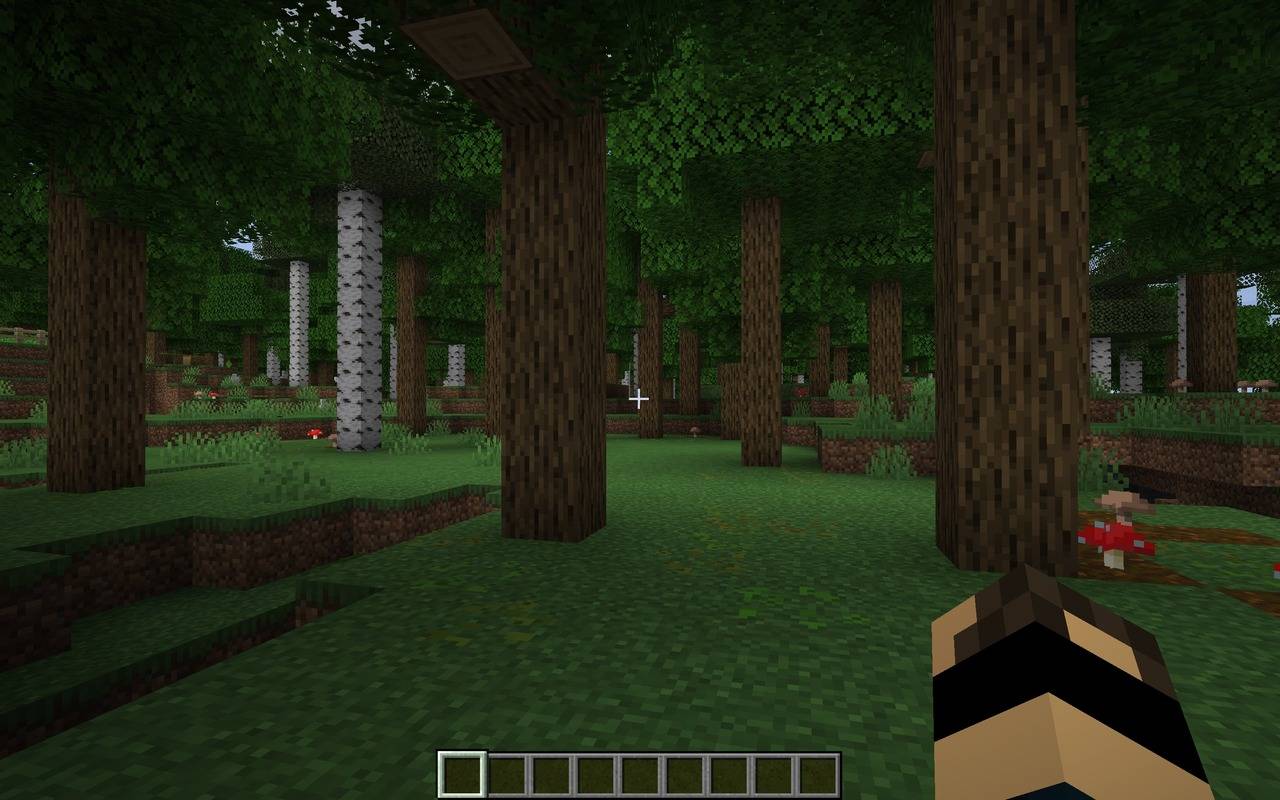 screenshot thumbnail