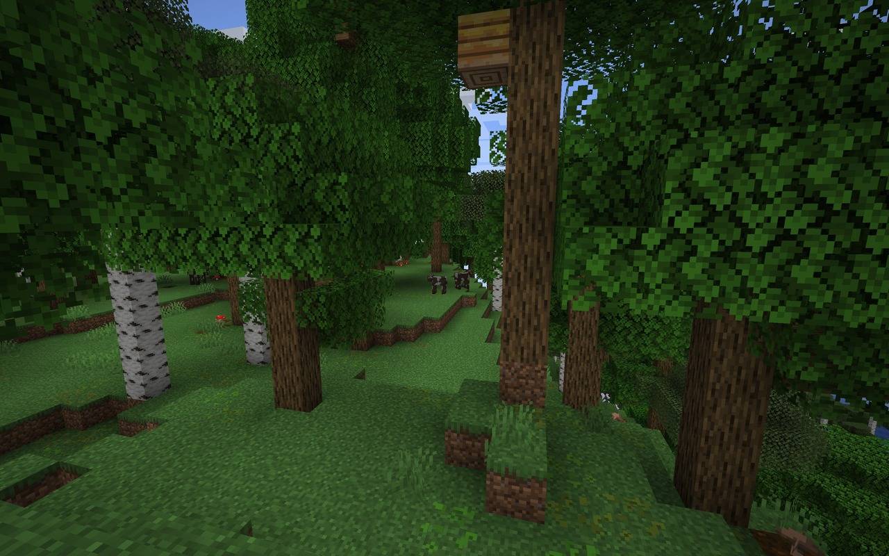 screenshot thumbnail