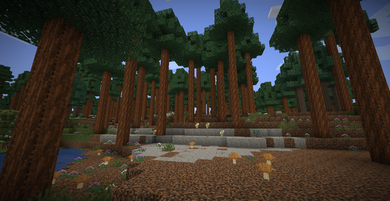 Wildflourish (2).png