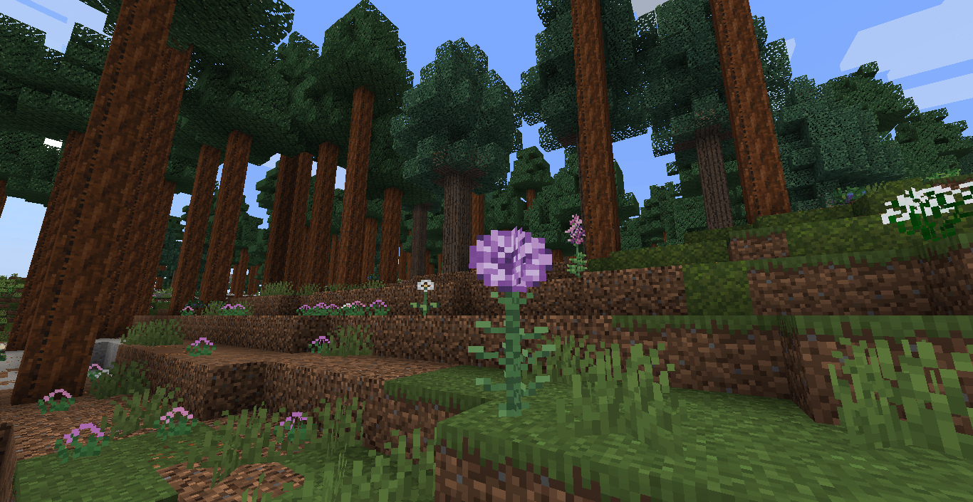 Wildflourish 1.png