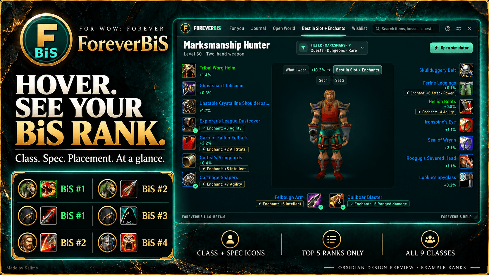 Compact ForeverBiS item tooltip showcase with class icons, specialization icons and example BiS ranks