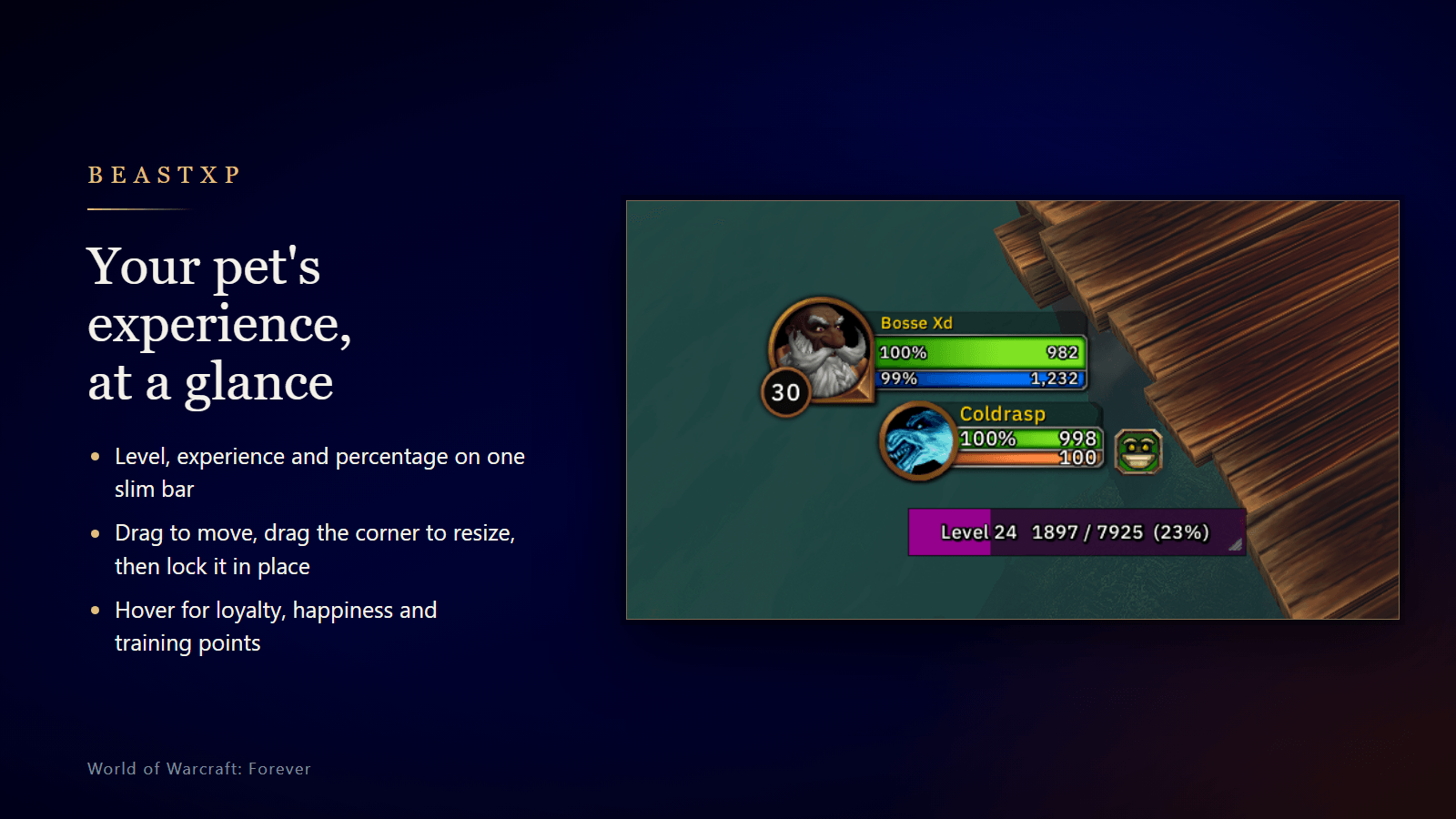 beastxp-bar-1.3.png