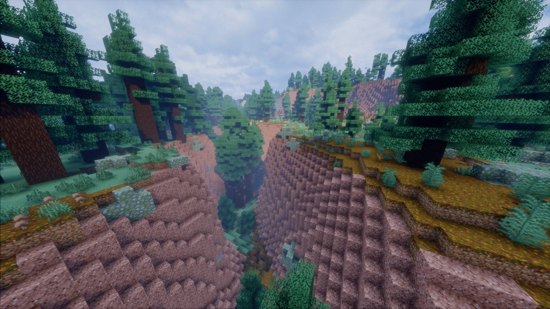A badlands canyon in a spruce forest