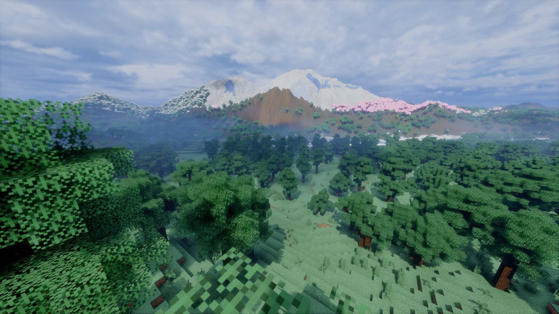 A snowy peak above the forest