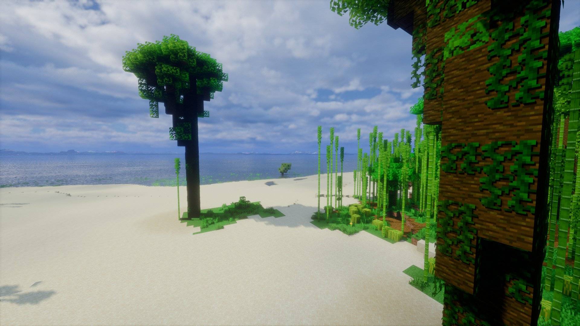 A beach at the edge of the jungle