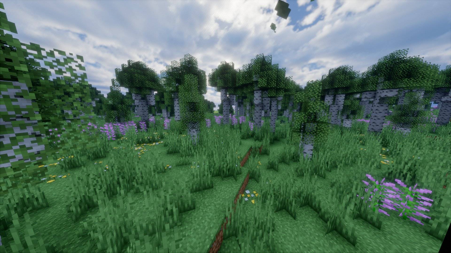 A flower forest