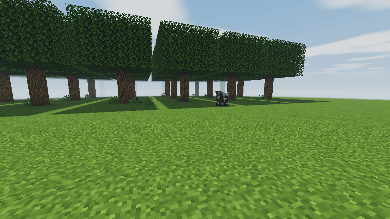 BALANCED-forest.png