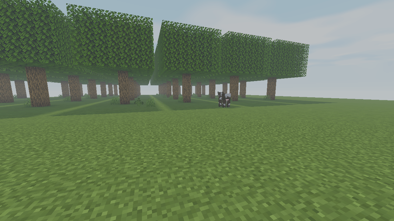 BALANCED-forest.png