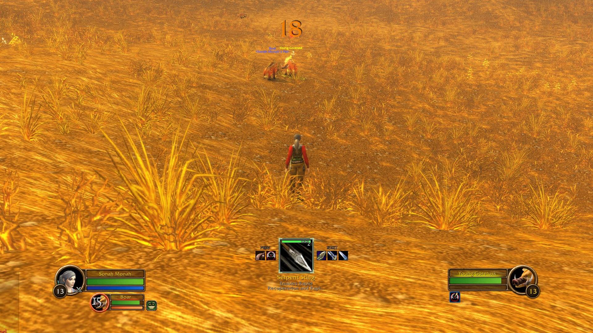 Sonah shows what to press next, with the upcoming spells and your keybind. Range aware: ranged classes get ranged shots, melee only in melee range.