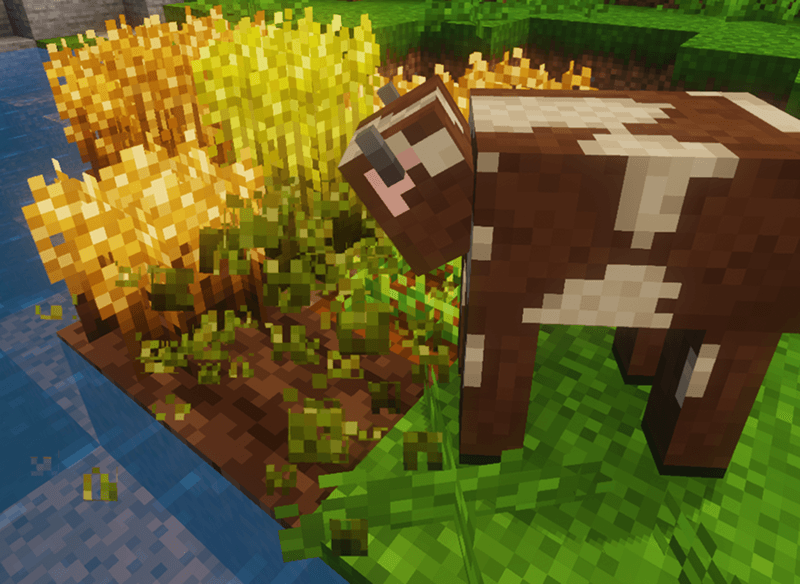 A Cow Munching on Wheat - Stay True & Mellow Shaders