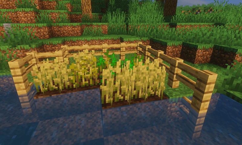 Protect your Crops from Animals