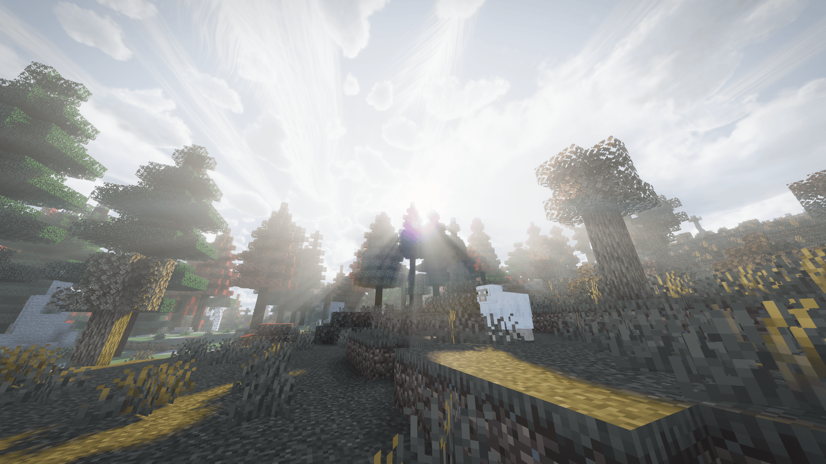 screenshot thumbnail