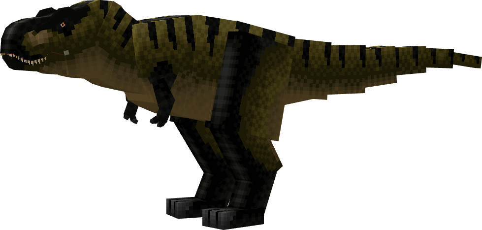 29393.png