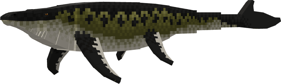 29396.png