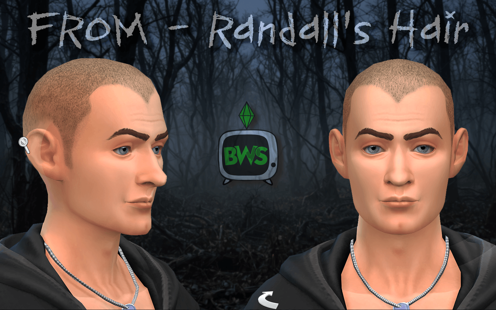 BWS_RH_Description_1600_1000.png