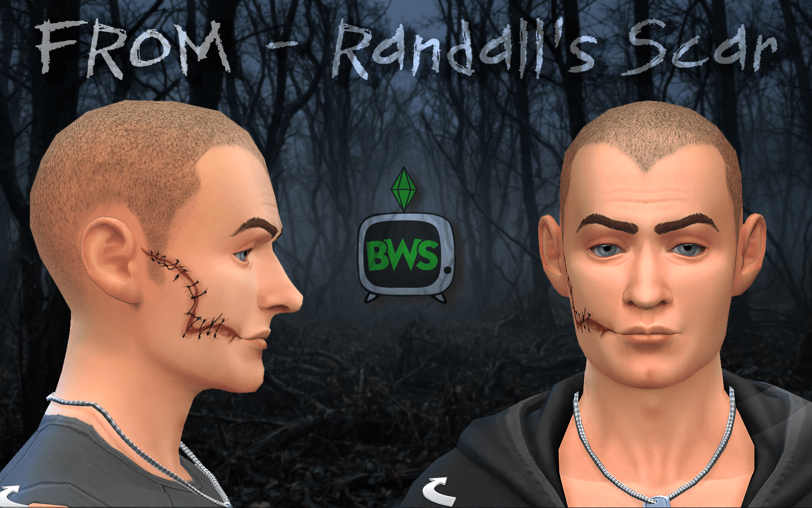 BWS_RS_Description.png