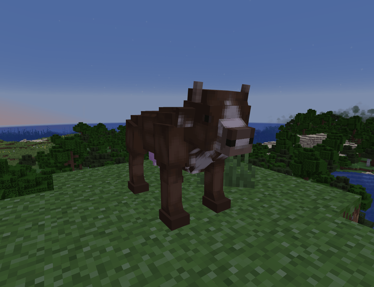 Thumbnail A brown cow!