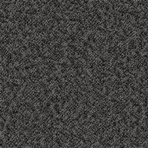 carpets (5) (1) (4) (2) (6) (1).png
