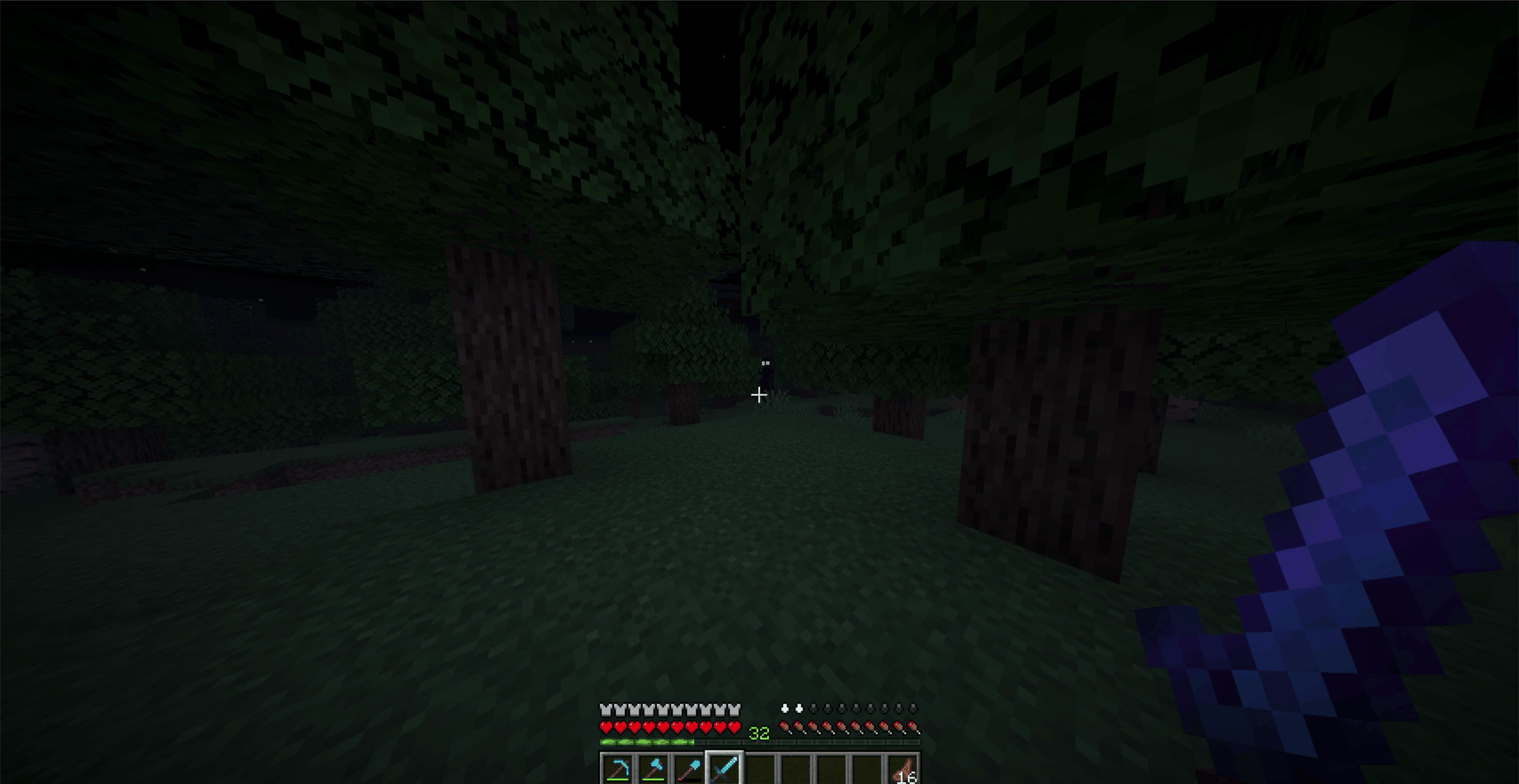 forest.png