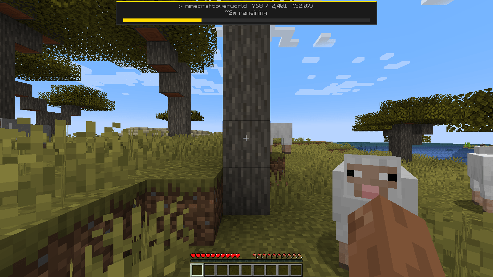 Thumbnail After you enter the world, pre-generation keeps running and its progress shows at the top of the screen.