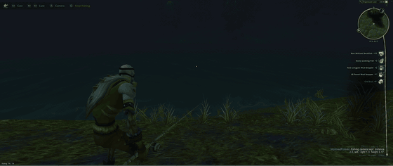 Fishing_2mb.gif