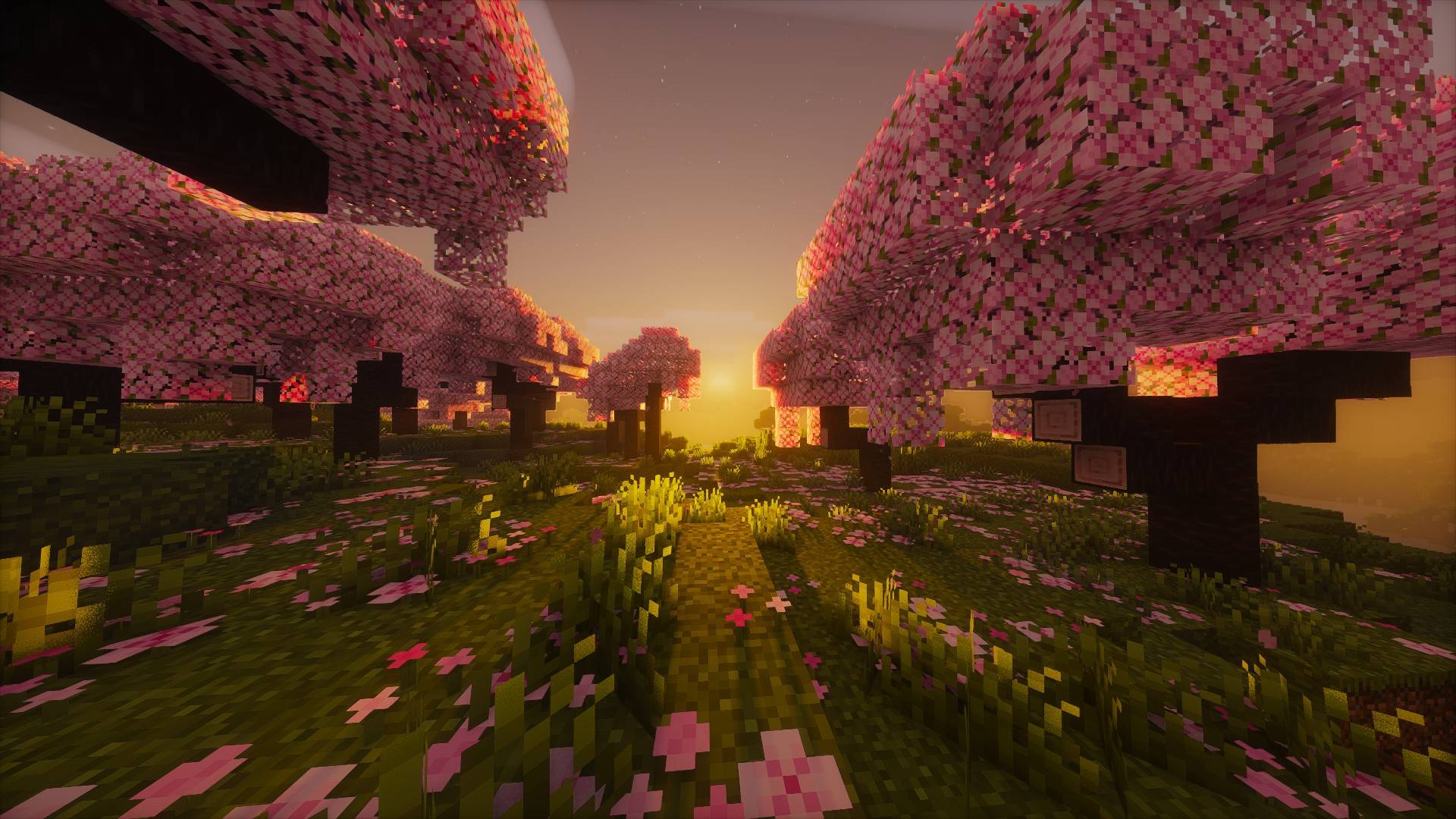 sunrise.jpg