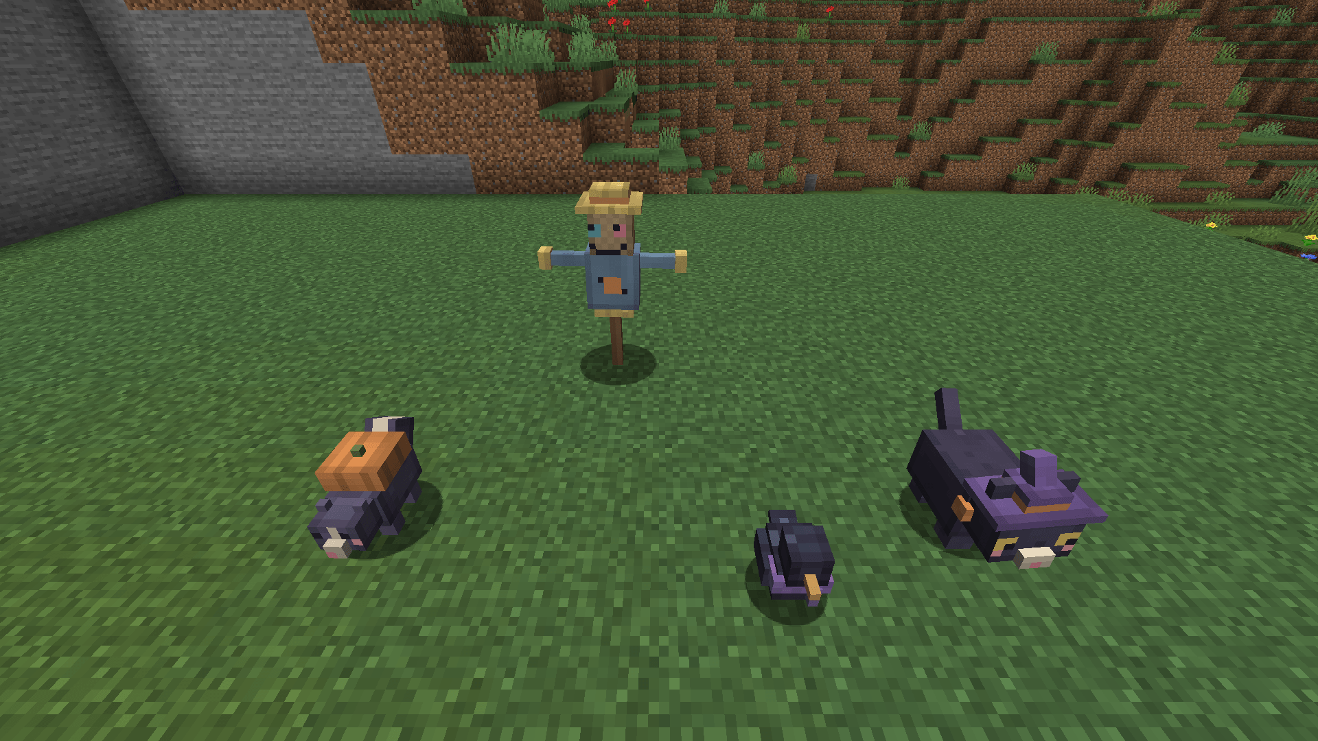 02-companions.png