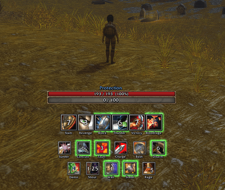 Warrior HUD for a Protection warrior
