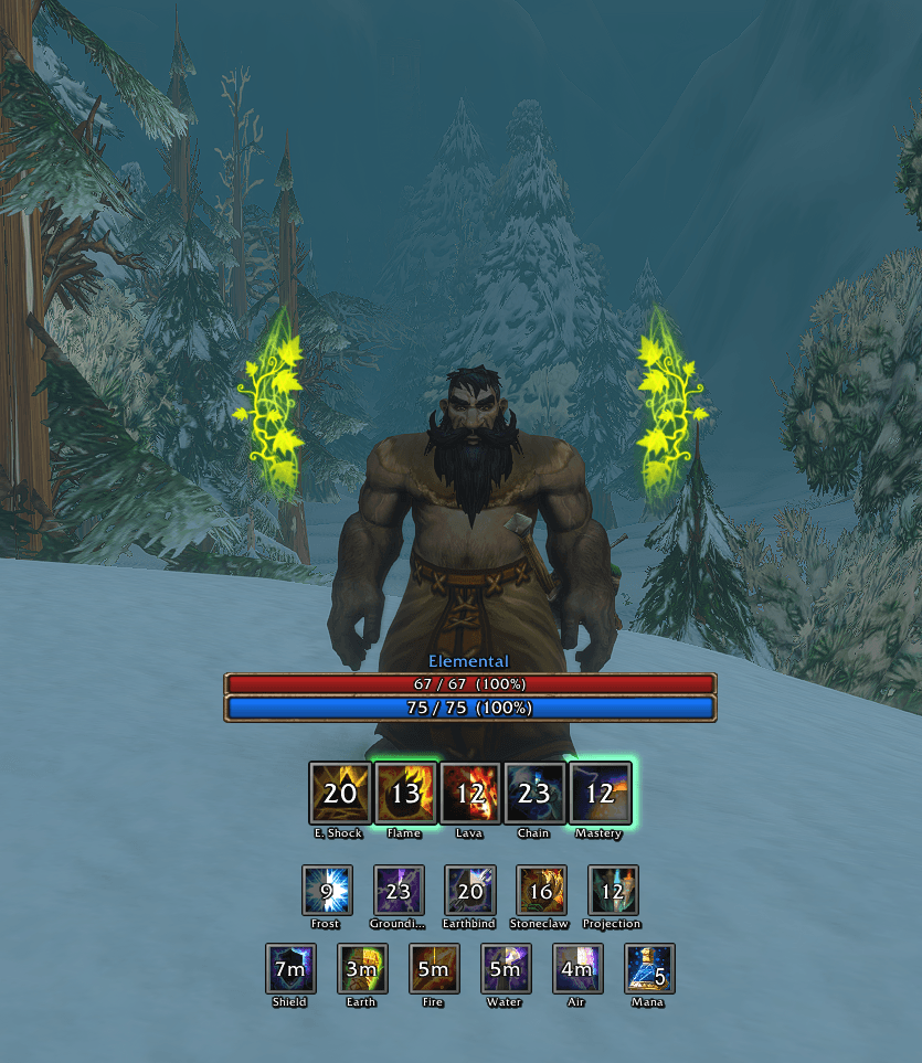 Shaman HUD for an Elemental shaman