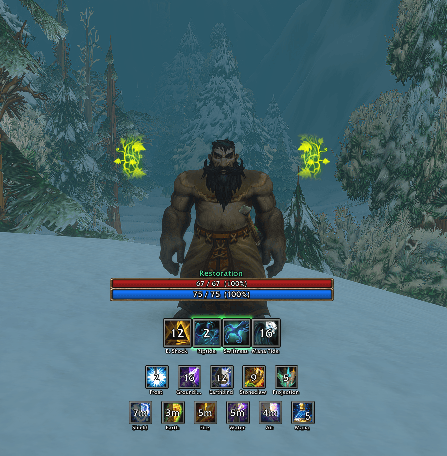 Shaman HUD for a Restoration shaman