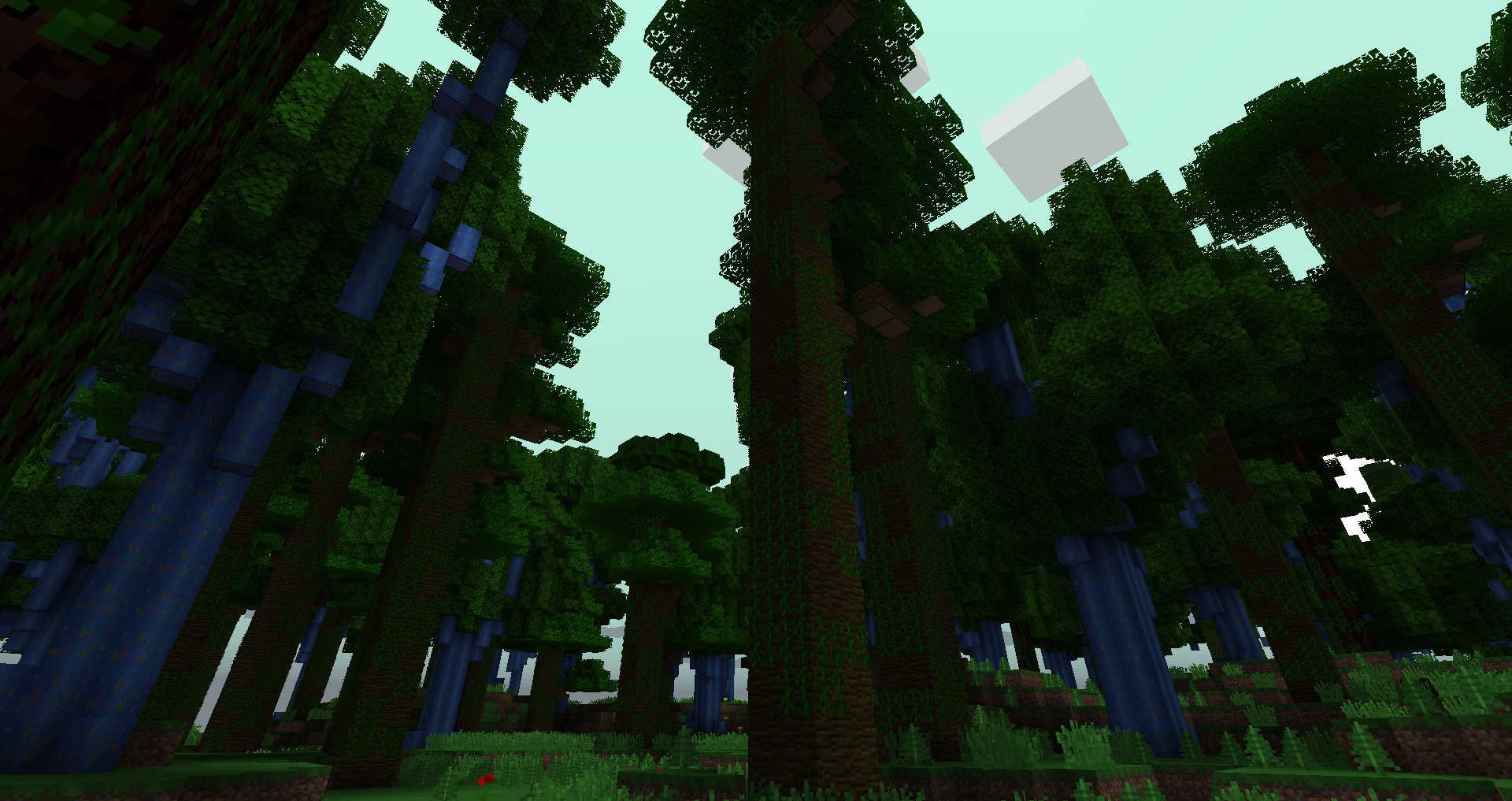 Tropical jungle.