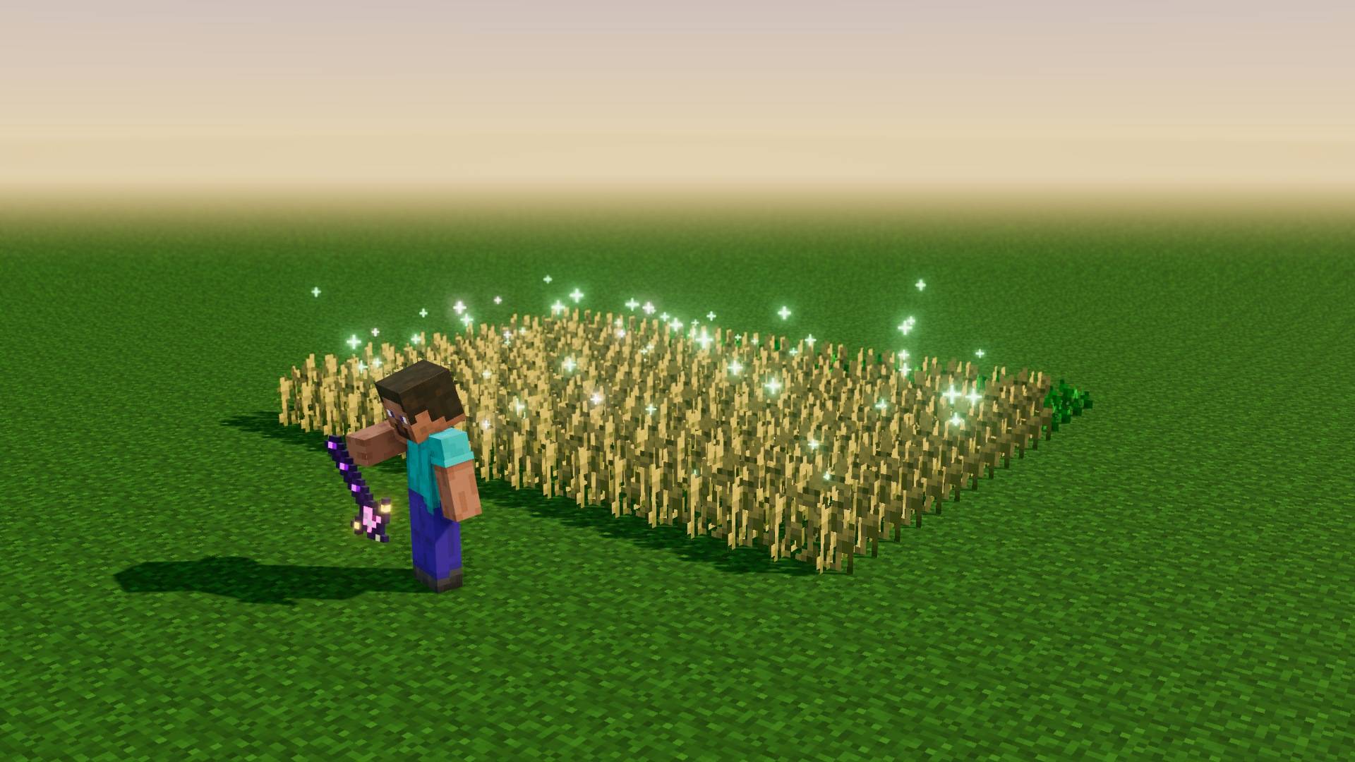 A wheat field grown in one use
