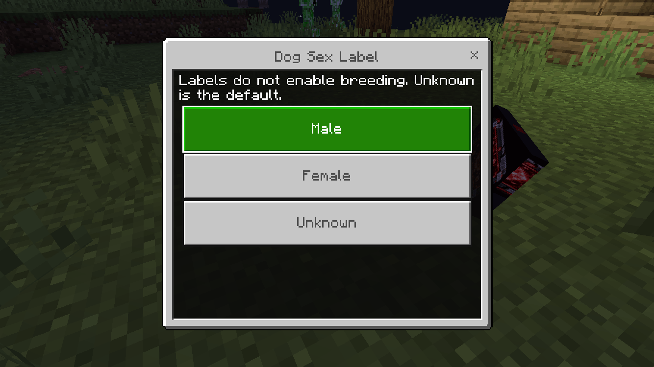 Thumbnail IMG_3481.png