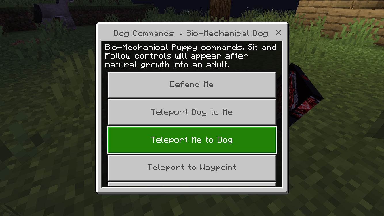 Thumbnail IMG_3475.png