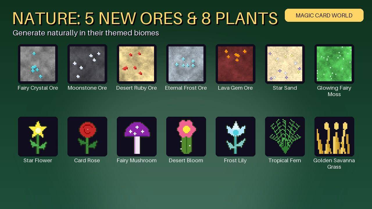 08_nature.jpg