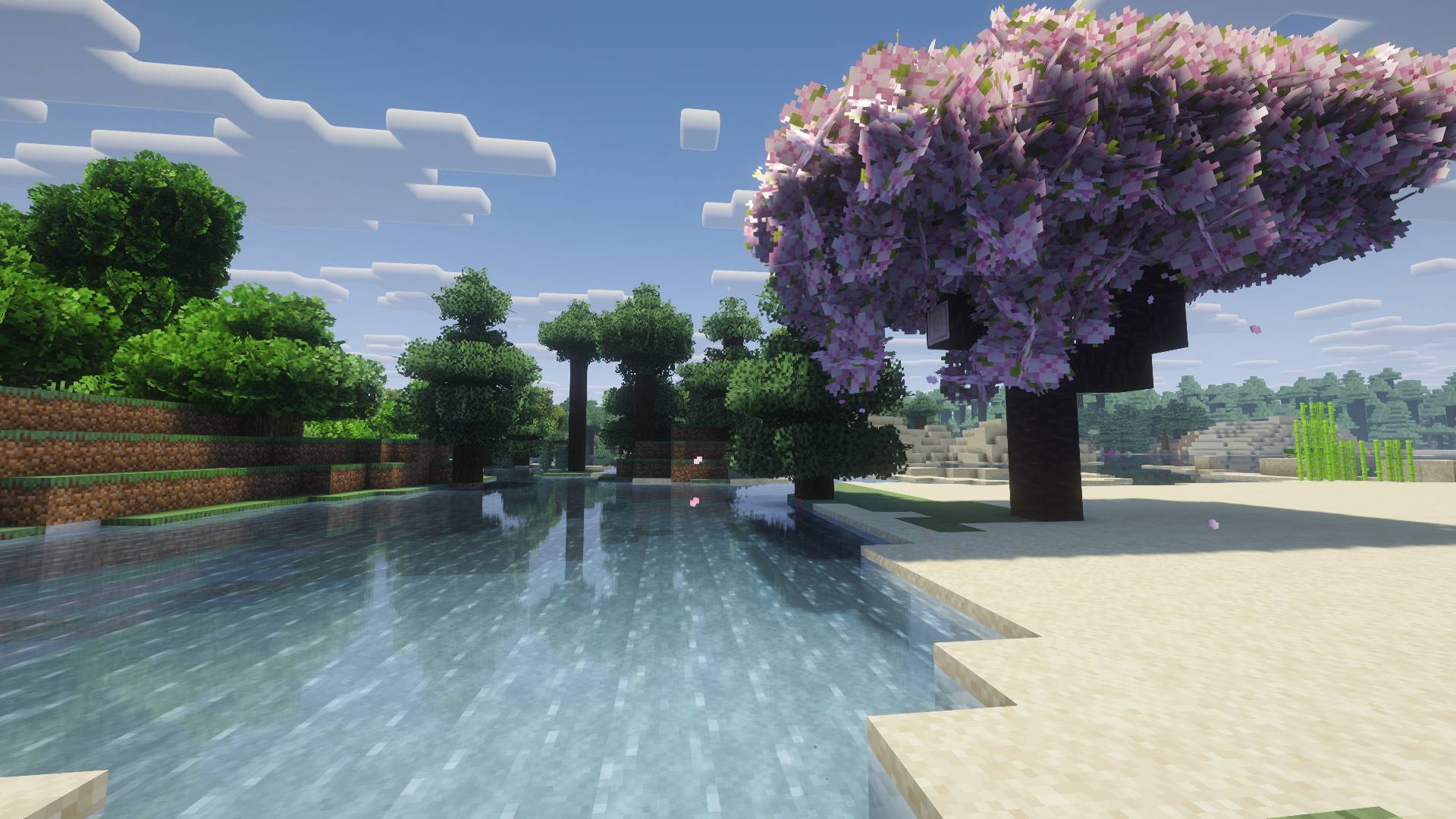 Pink blossoms beside the water.