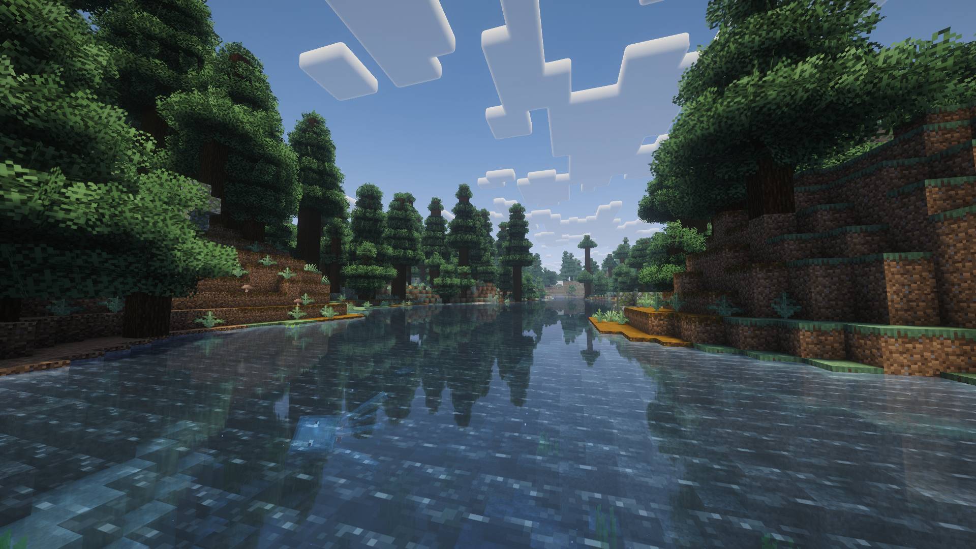 Spruce trees around a quiet river.