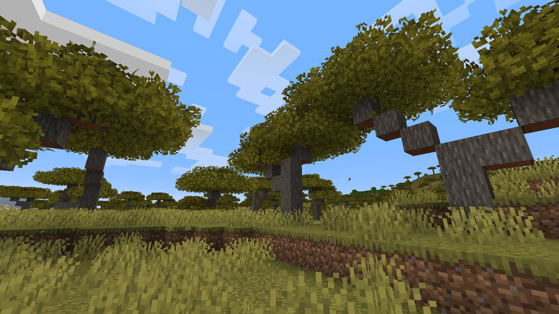 Savanna acacia leaves without shaders.