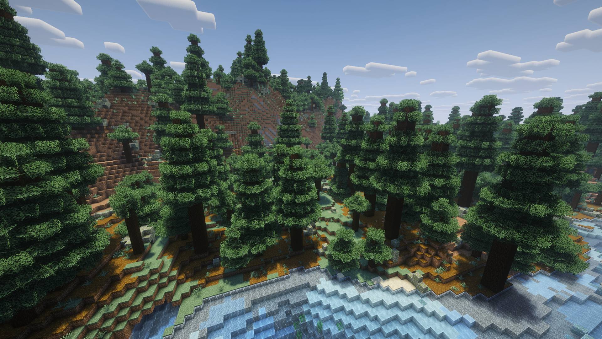 Thumbnail A spruce forest seen from above.